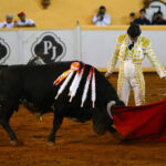 Juriquilla, viernes 1 de noviembre de 2019