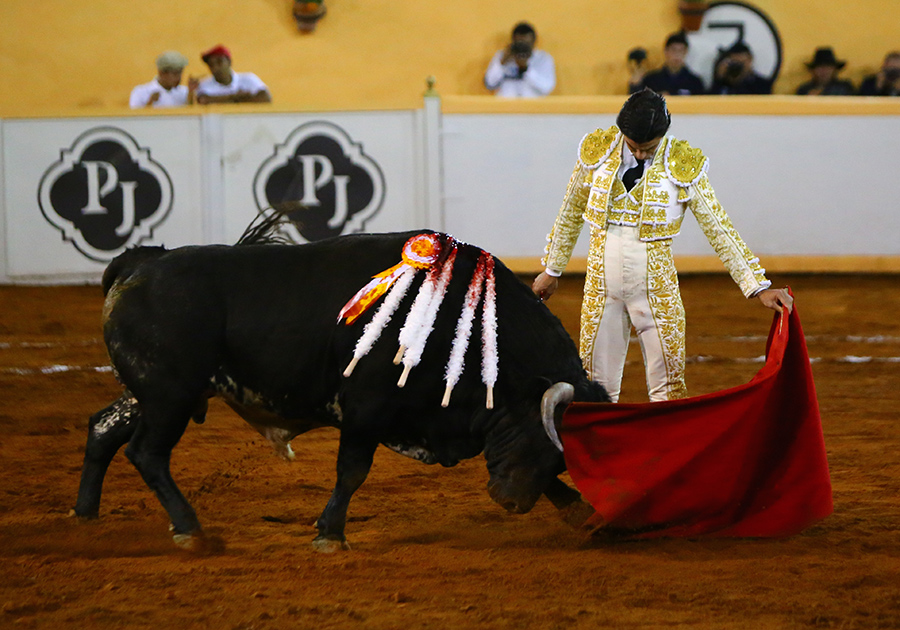 Juriquilla, viernes 1 de noviembre de 2019