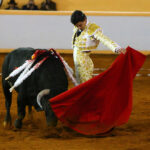 Juriquilla, viernes 1 de noviembre de 2019