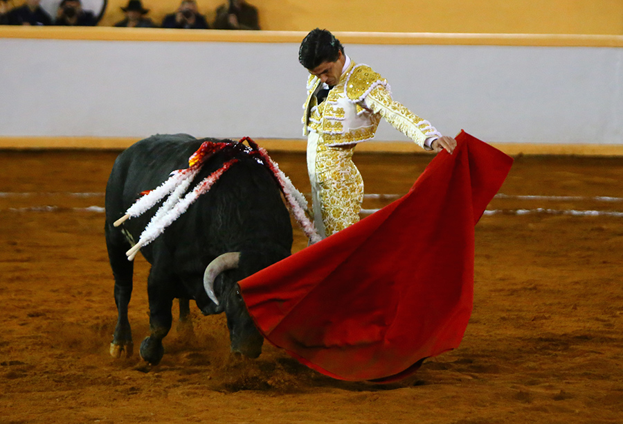 Juriquilla, viernes 1 de noviembre de 2019