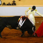 Juriquilla, viernes 1 de noviembre de 2019