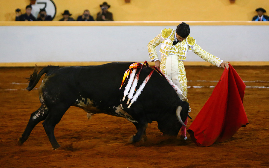 Juriquilla, viernes 1 de noviembre de 2019