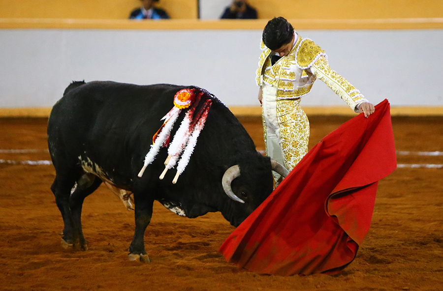 Juriquilla, viernes 1 de noviembre de 2019