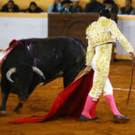 Juriquilla, viernes 1 de noviembre de 2019