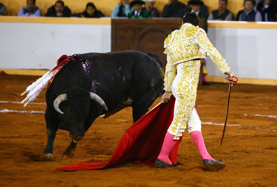 Juriquilla, viernes 1 de noviembre de 2019