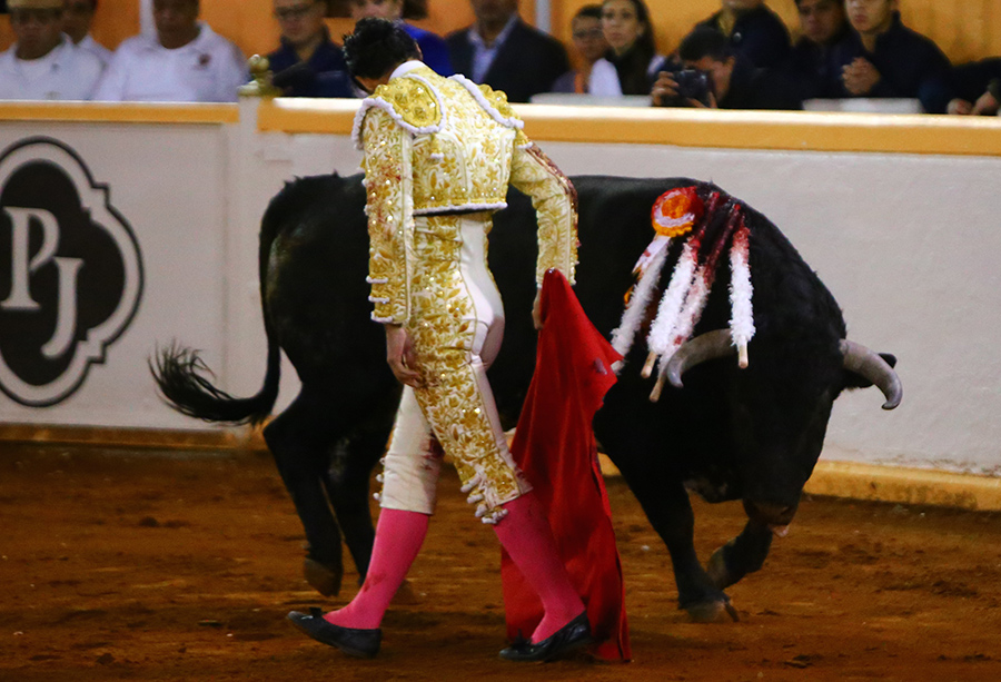 Juriquilla, viernes 1 de noviembre de 2019