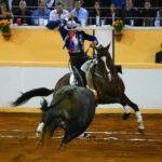 Juriquilla, viernes 1 de noviembre de 2019