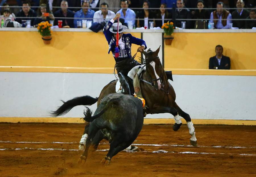 Juriquilla, viernes 1 de noviembre de 2019
