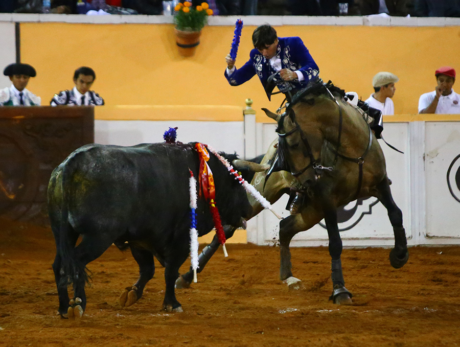 Juriquilla, viernes 1 de noviembre de 2019