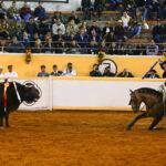 Juriquilla, viernes 1 de noviembre de 2019