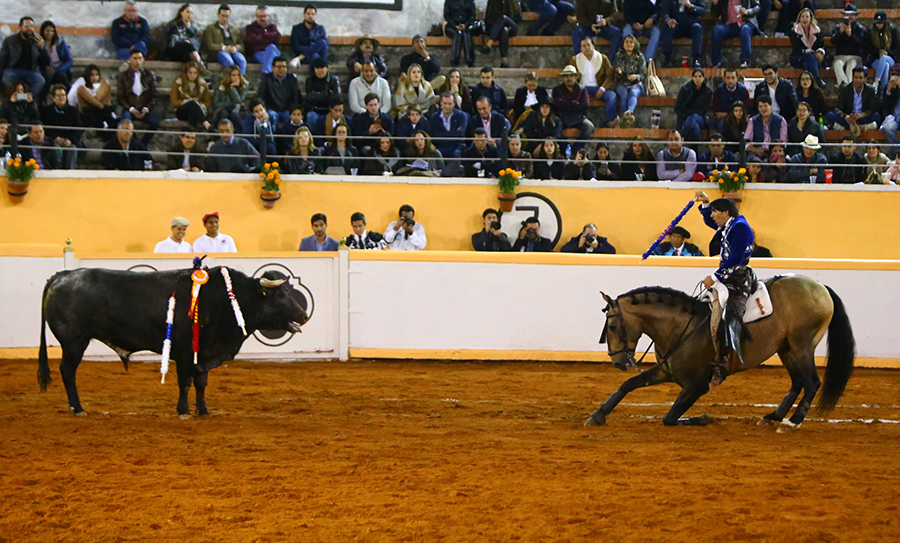 Juriquilla, viernes 1 de noviembre de 2019
