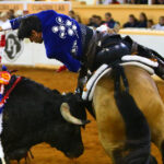 Juriquilla, viernes 1 de noviembre de 2019