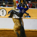 Juriquilla, viernes 1 de noviembre de 2019