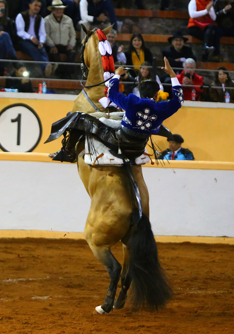 Juriquilla, viernes 1 de noviembre de 2019