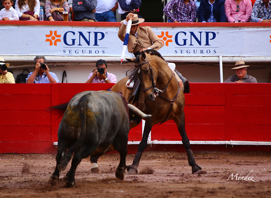 Aguascalientes, sábado 2 de noviembre de 2019