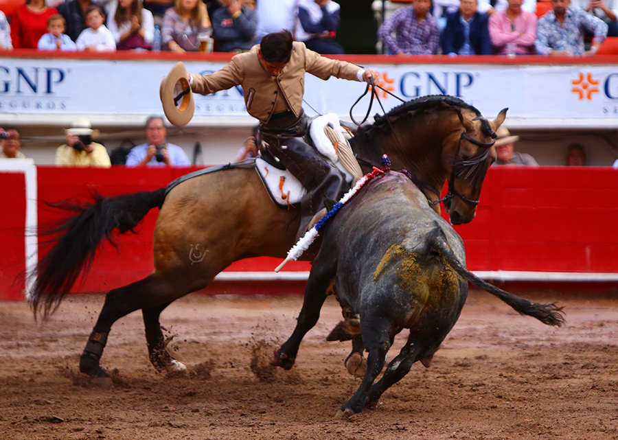 Aguascalientes, sábado 2 de noviembre de 2019