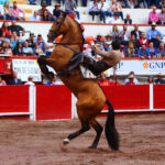 Aguascalientes, sábado 2 de noviembre de 2019