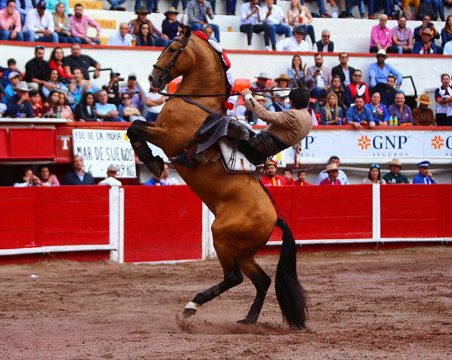 Aguascalientes, sábado 2 de noviembre de 2019