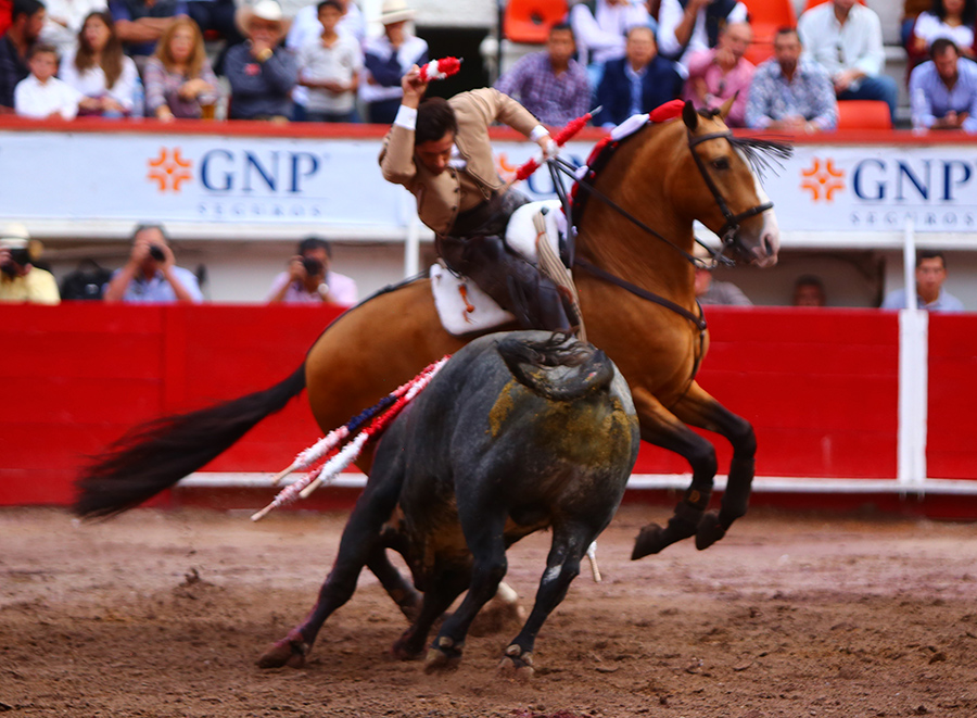 Aguascalientes, sábado 2 de noviembre de 2019