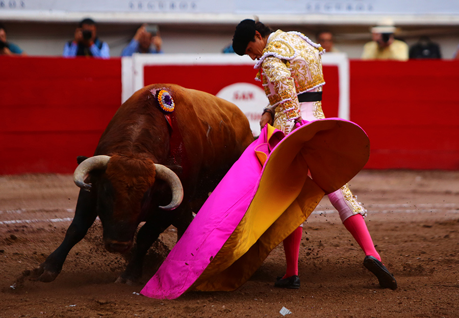 Aguascalientes, sábado 2 de noviembre de 2019