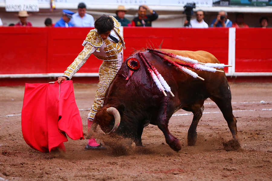 Aguascalientes, sábado 2 de noviembre de 2019