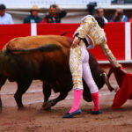 Aguascalientes, sábado 2 de noviembre de 2019