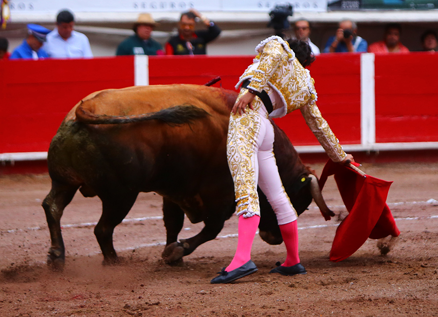Aguascalientes, sábado 2 de noviembre de 2019