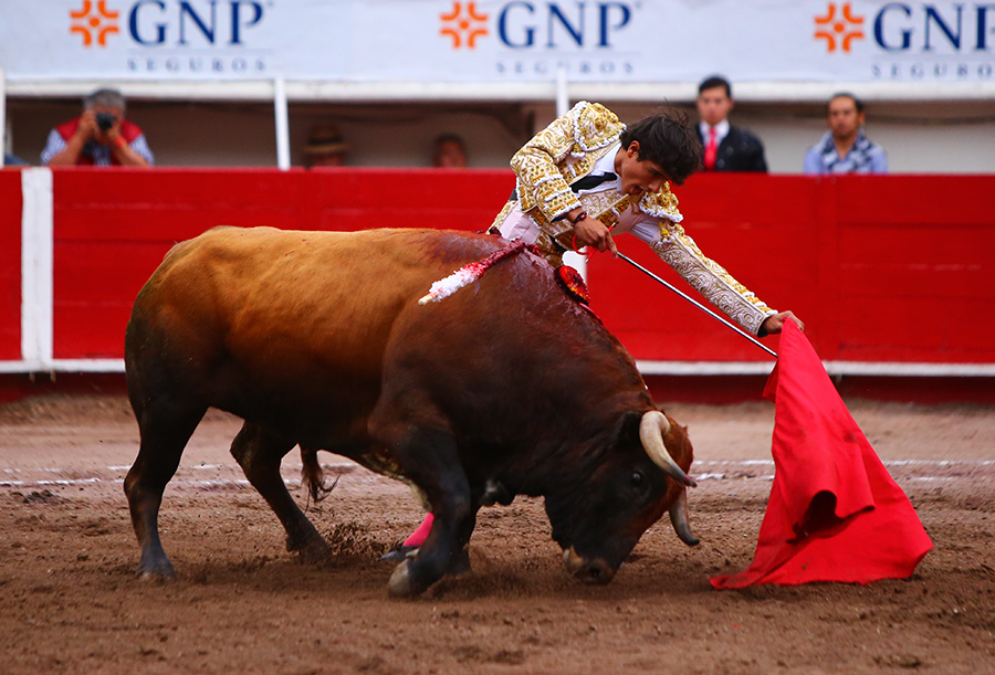 Aguascalientes, sábado 2 de noviembre de 2019