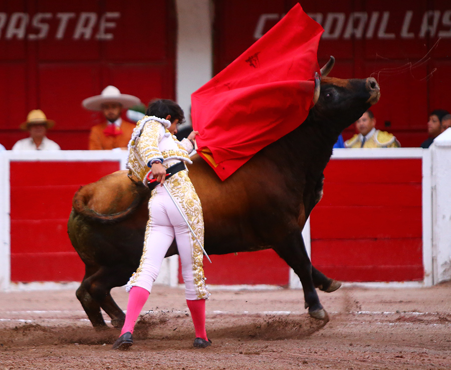 Aguascalientes, sábado 2 de noviembre de 2019
