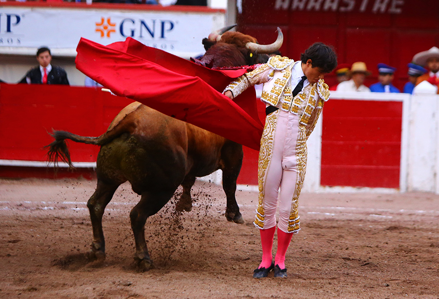 Aguascalientes, sábado 2 de noviembre de 2019