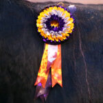 Aguascalientes, sábado 2 de noviembre de 2019