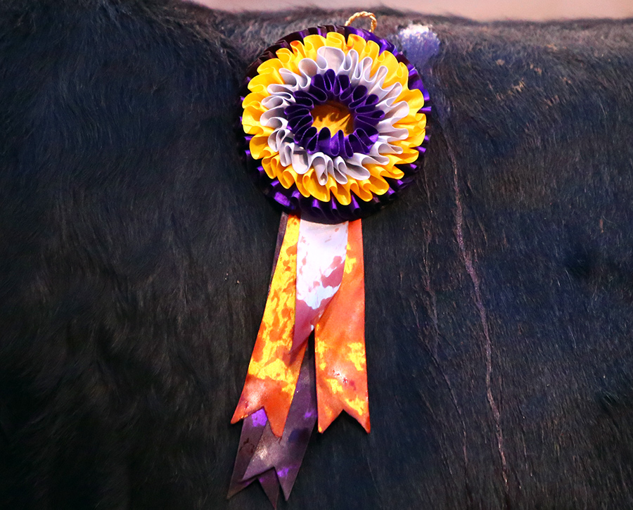 Aguascalientes, sábado 2 de noviembre de 2019