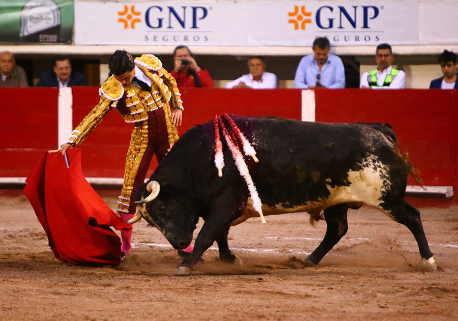 Aguascalientes, sábado 2 de noviembre de 2019