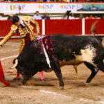 Aguascalientes, sábado 2 de noviembre de 2019