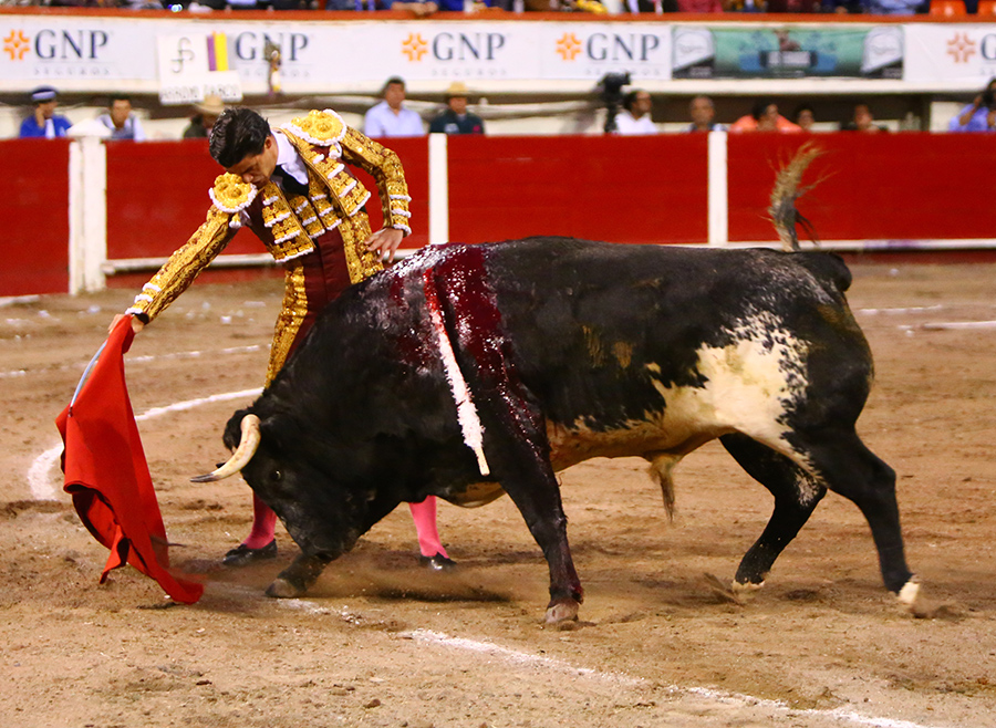 Aguascalientes, sábado 2 de noviembre de 2019