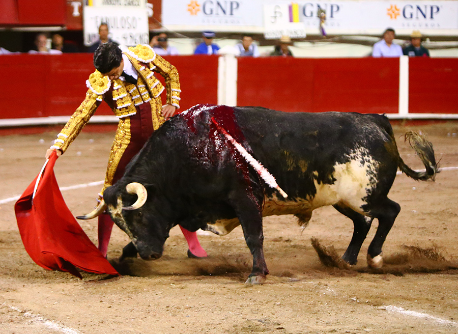 Aguascalientes, sábado 2 de noviembre de 2019