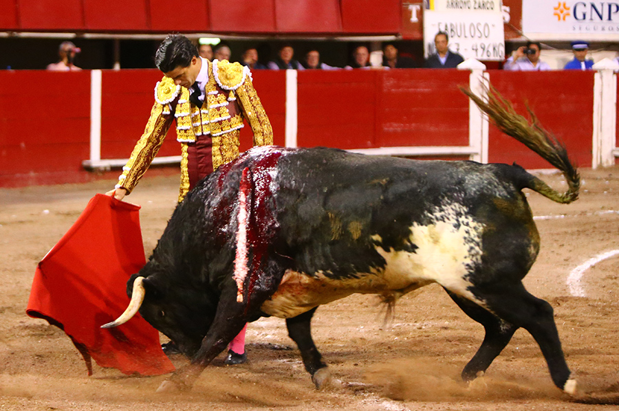 Aguascalientes, sábado 2 de noviembre de 2019