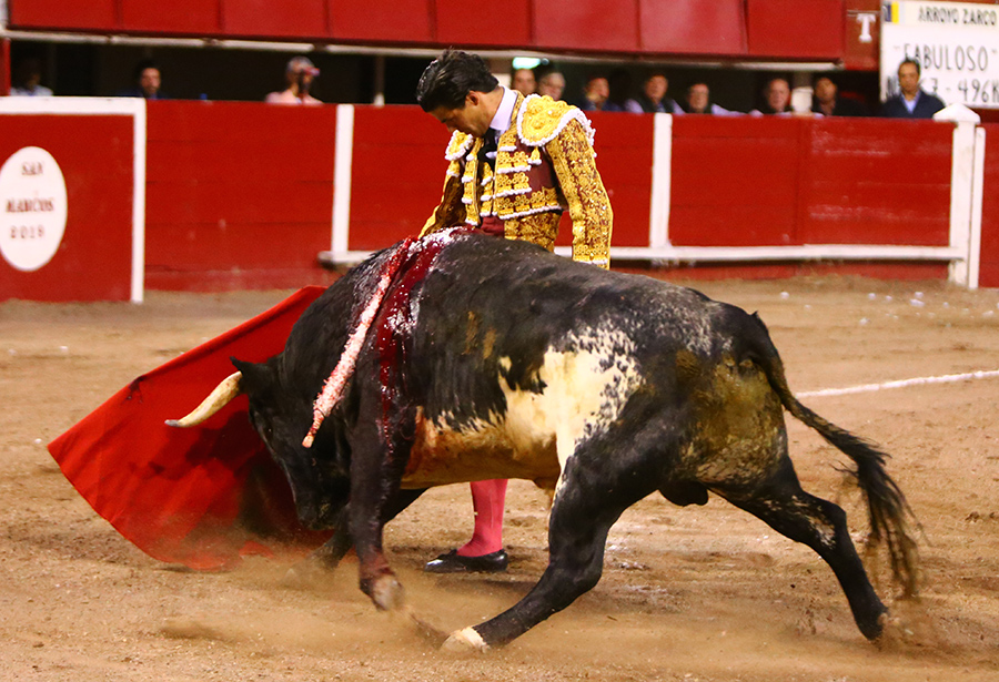 Aguascalientes, sábado 2 de noviembre de 2019