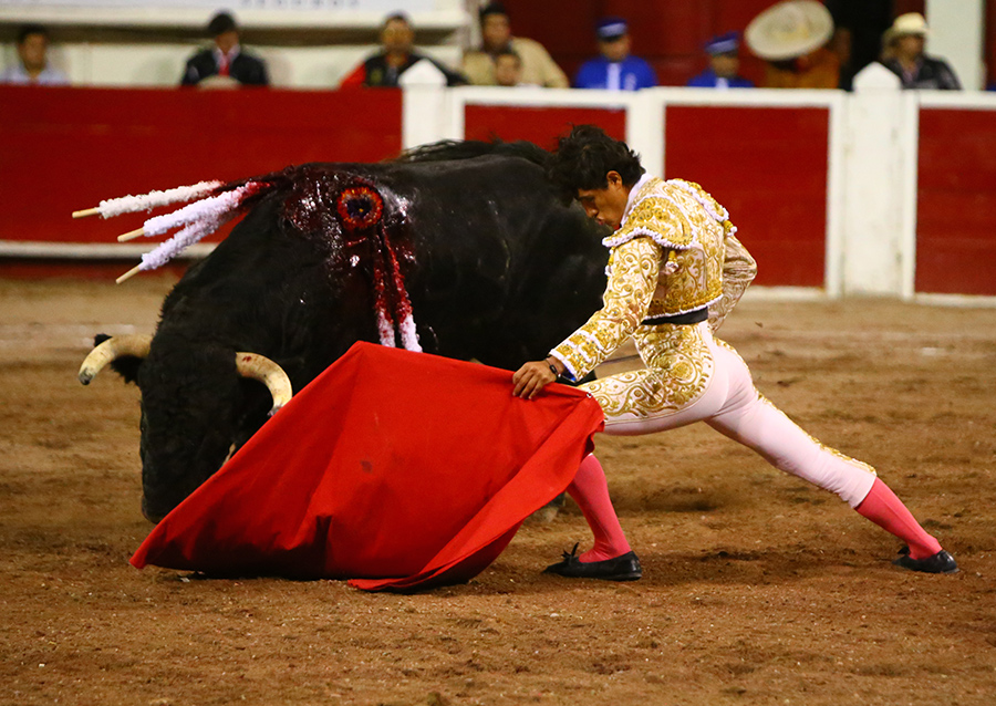 Aguascalientes, sábado 2 de noviembre de 2019