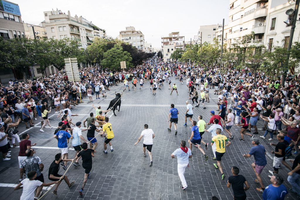 Cataluña vuelve a la vía prohibicionista: ahora toca el turno de los correbous