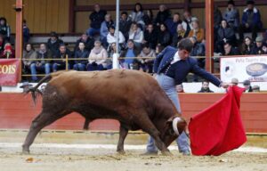 Rion-des-Landes, domingo 17 de noviembre de 2019