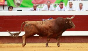 Dax - Corrida de toros - Tarde - Domingo 12 de agosto de 2018