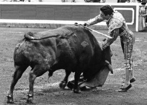 Definición gráfica de cómo debe hacerse la suerte suprema. Paco Camino imparte la lección.