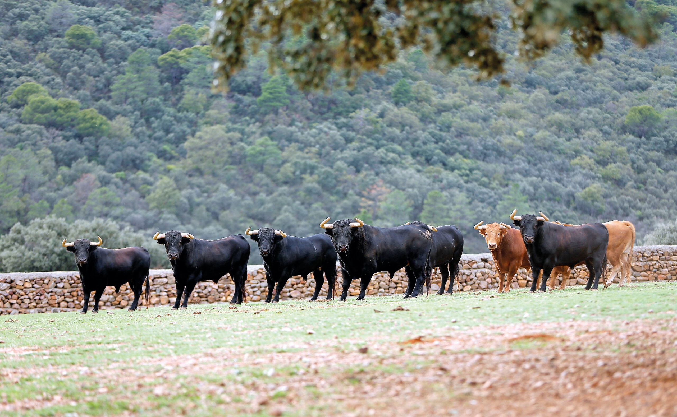 En casa de... los Lozano