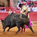 Ciudad de México. Domingo, 24 de noviembre de 2019.