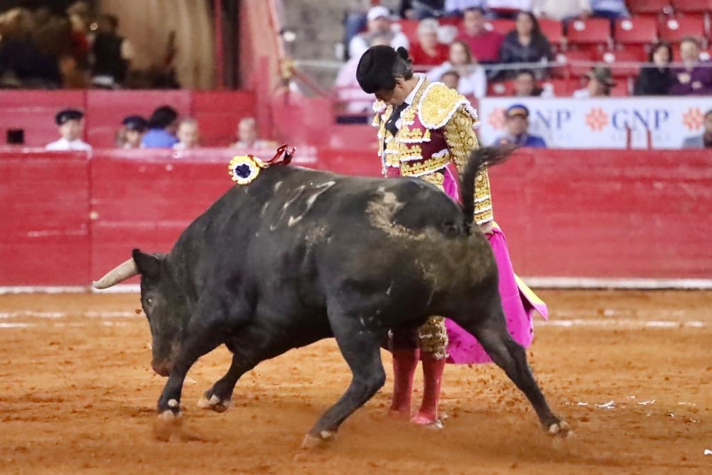 Ciudad de México. Domingo, 24 de noviembre de 2019.