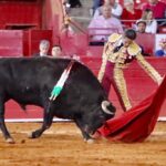 Ciudad de México. Domingo, 24 de noviembre de 2019.