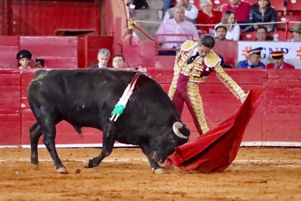 Ciudad de México. Domingo, 24 de noviembre de 2019.