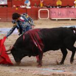 Lima, 1 de diciembre de 2019.