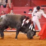 Ciudad de México, 8 de diciembre de 2019.